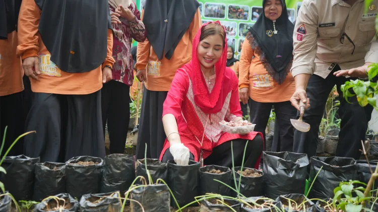 Jaga Kelestarian Alam, Komisi VII DPR Gencarkan Program 'Sarinah'