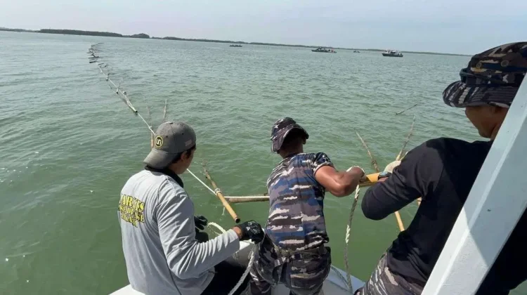 Tercemar Kimia, Pemkab Tangerang Larang Nelayan Jual Ikan