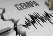 Gempa Magnitudo 2,7 Guncang Jayapura Papua