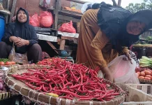Pedagang Minta Fasilitasi Distribusi, Bapanas Siap Dorong Efisiensi