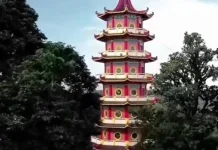 Perayaan Imlek dan Cap Go Meh di Pagoda Pulau Kemaro Palembang