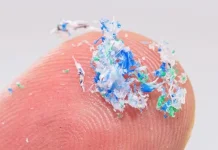 Hasil Kajian Ecoton, Temukan Mikroplastik pada Ibu Hamil