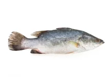 KKP Jamin Stok Ikan Aman Awal Ramadan