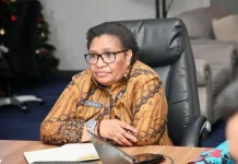 Kemendagri Tekankan Stabilitas Layanan Papua Selatan