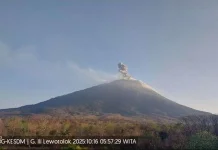 Aktivitas Vulkanik Meningkat, Gunung Ile Lewotolok Siaga