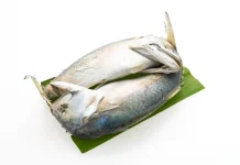 KKP: Harga Ikan Relatif Stabil di Delapan Kota