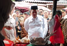 Sidak Mentan Amran, Harga Ayam Turun Rp15 Ribu