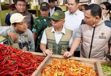 Ramadan, Harga Cabai di Tangsel Tembus Rp150.000
