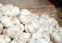 Bapanas Panggil Importir, Harga Bawang Putih Ditargetkan Turun