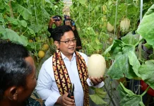 Pemerintah Dorong Kawasan Transmigrasi Menjadi Sentra Pertumbuhan UMKM