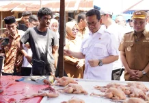 Mendag Pastikan Aktivitas Perdagangan di Kabupaten Pidie Telah Pulih