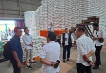 Bapanas: Stok Pangan Papua Aman jelang Lebaran