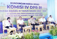 Bapanas Percepat Distribusi CPP Serap Panen Raya