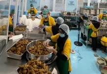 Ramadan Spesial, Dapur MBG di Purworejo Hadirkan Menu Variatif