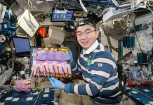 NASA akan Analisis Sampel Makanan Fermentasi dari Luar Angkasa