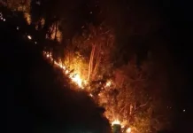 Karhutla Melanda Desa Labuan Donggulu Parimo