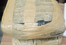 Polres Bekasi Tangkap Kurir Ganja Antar Kota, 2 Kilogram Ganja Disita