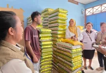 SPHP dan Minyakita Stabilkan Harga di Papua