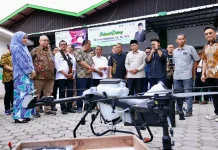 Manggis Produk Koperasi Mitra LPDB Tembus China