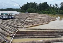 Rakit Kayu di Sungai Kapuas, Kemenhut Pastikan Legal dan Terverifikasi