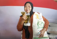 Bapanas-Bulog Percepat Bantuan Beras dan Minyak