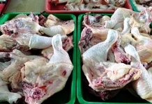 Harga Ayam Sumut Stabil jelang Idulfitri 2026