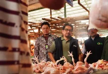 Bapanas Sidak Pasar Jonggol Cek Harga Pangan