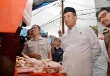 Bapanas Klaim Harga Cabai dan Ayam Turun Nasional