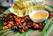 Kemendag Tetapkan Harga Referensi CPO Maret 2026 Naik Jadi USD 938,87