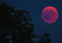 Langit Indonesia Dihiasi Gerhana Bulan Total Awal Maret 2026, Ini Jadwalnya