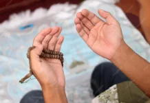 Hukum Membaca Doa Qunut saat Witir di Pertengahan Ramadan