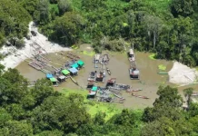 Kemenhut Jerat 12 Penambang Ilegal Tanjung Puting