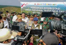 Reforestasi Taman Nasional Tesso Nilo, Pulihkan Habitat Gajah Sumatera