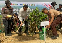 KLH Siapkan Data Jasa Lingkungan untuk Dukung Restorasi Tesso Nilo