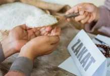 Jangan Terlewat, Ini Waktu Utama dan Terakhir Bayar Zakat Fitrah