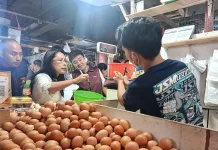 Bapanas Pastikan Harga Pangan di Pasar Kopro Normal