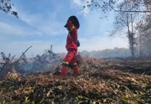 Manggala Agni Gerak Cepat Kendalikan Karhutla di Riau
