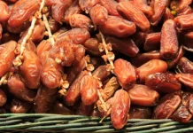Jangan Keliru, Kenali Tanda Kurma yang Sudah Tidak Layak Konsumsi