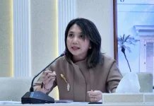 Ketua D-8, Indonesia Dorong Deeskalasi pada Perang Iran, Israel dan Amerika Serikat