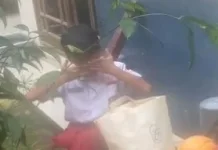 Kisah Haru Bocah SD Bawa Pulang Makan Bergizi Gratis