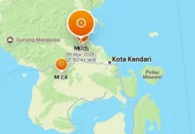 Gempa Magnitudo 3,9 Guncang Timur Laut Konawe, Getaran Terasa di Dua Wilayah