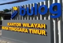 Stok Pangan Dijamin Aman, BULOG NTT Imbau Warga Tidak Panic Buying
