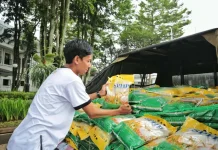 Capai 592 Ton, Bulog Jabar Pastikan Stok Beras Aman Selama Ramadan