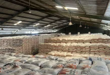 Dirut Bulog Ajak BEM SI Tinjau Stok Beras di Gudang Bulog