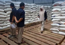 BULOG Sumbar Pastikan Stok Beras-Minyak Goreng jelang Hari Besar Keagamaan Aman