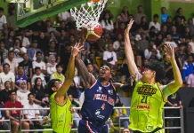 Pelita Jaya Incar Kemenangan ke-12 saat Menjamu Rajawali