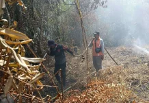 BMKG Deteksi 143 Titik Panas di Provinsi Riau