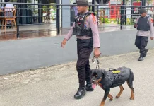 Amankan Bandara Soetta, Polisi Terjunkan Tim Anjing Pelacak