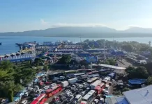Pantau Arus Mudik dari Udara, Kapolda Bali Tinjau Antrean Panjang di Gilimanuk