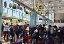 Rindu Pulang Tak Pernah Surut meski Kehilangan